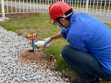 高明红火蚁防治站：工业园区发现红火蚁怎么办？