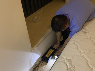 禅城白蚁备案中心白蚁会在家里侵害骚扰怎么办