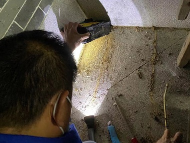 南海蚁害防控机构白蚁防治的相关误区